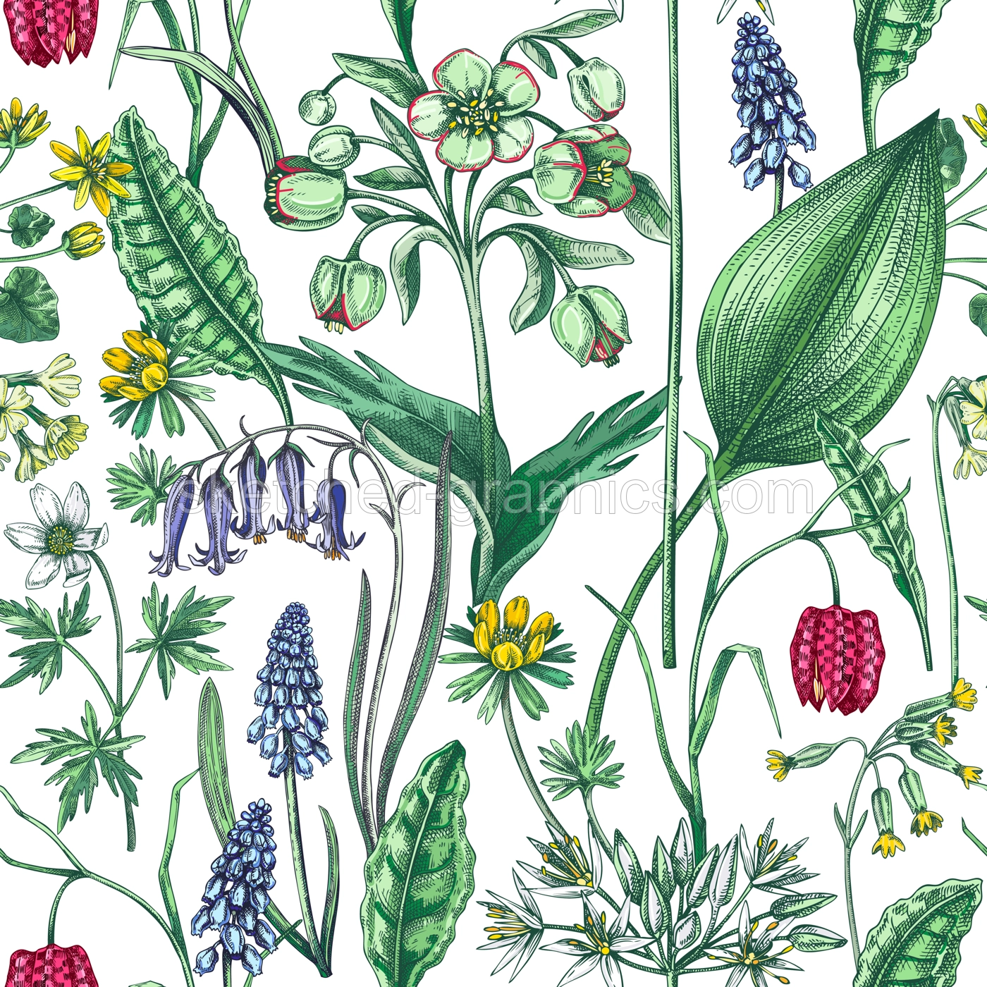 Spring flowers seamless pattern. Wildflowers background. Forest plant, greenery, wild flowers sketches. Hand drawn vector illustration. Not AI-generated Illustration